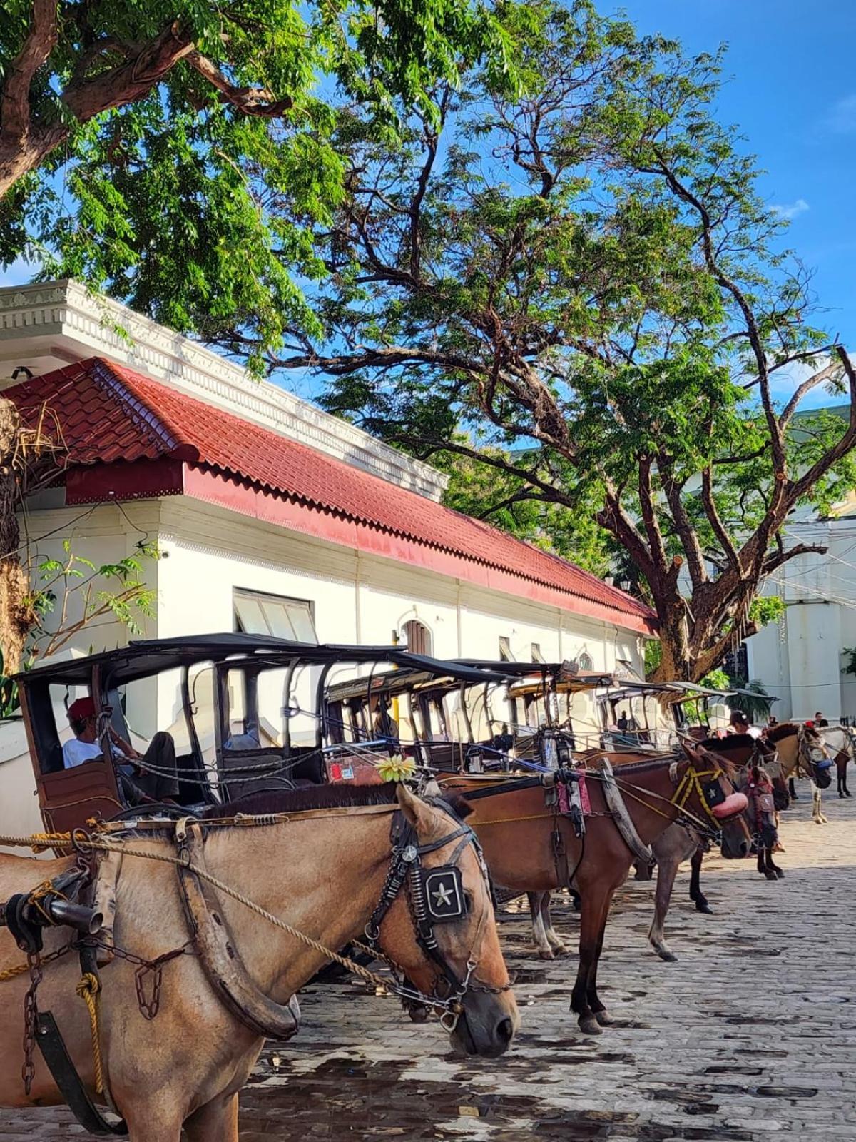 The Orange House - Vigan Villa Exterior photo